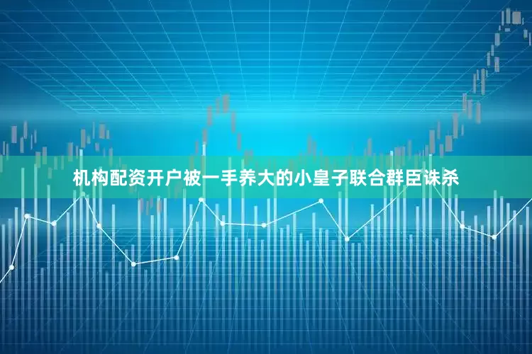 机构配资开户被一手养大的小皇子联合群臣诛杀