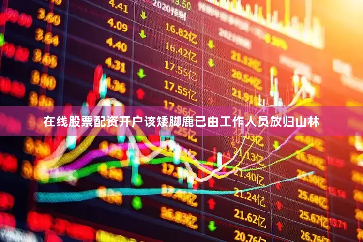 在线股票配资开户该矮脚鹿已由工作人员放归山林