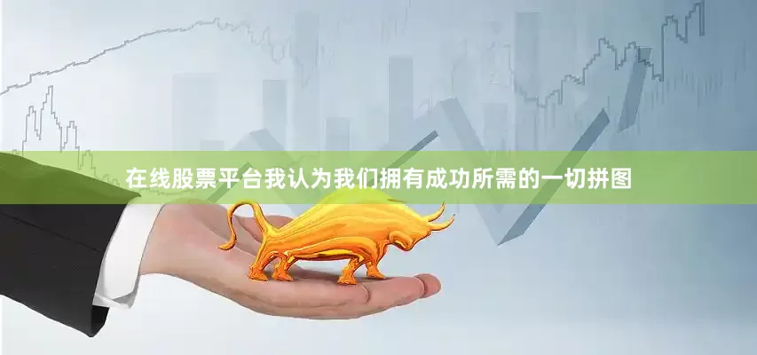 在线股票平台我认为我们拥有成功所需的一切拼图