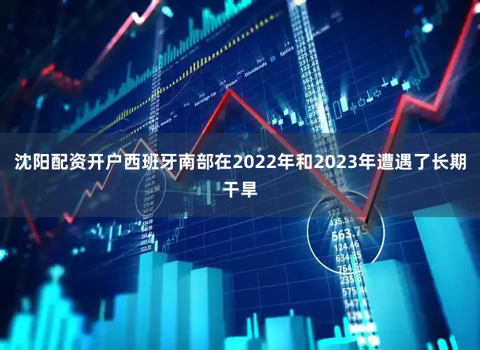 沈阳配资开户西班牙南部在2022年和2023年遭遇了长期干旱