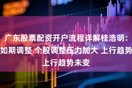 广东股票配资开户流程详解桂浩明：市场如期调整 个股调整压力加大 上行趋势未变