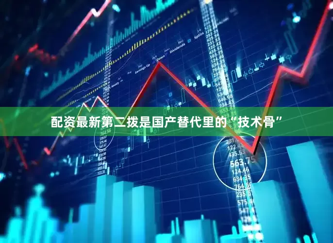 配资最新第二拨是国产替代里的“技术骨”