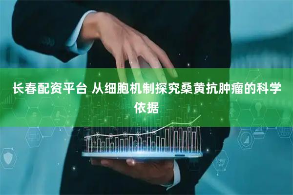 长春配资平台 从细胞机制探究桑黄抗肿瘤的科学依据