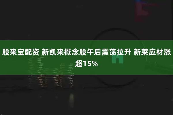 股来宝配资 新凯来概念股午后震荡拉升 新莱应材涨超15%
