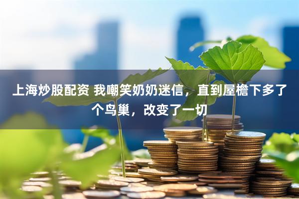 上海炒股配资 我嘲笑奶奶迷信，直到屋檐下多了个鸟巢，改变了一切